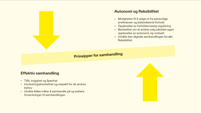 Figur 4. Prinsipper for samhandling.