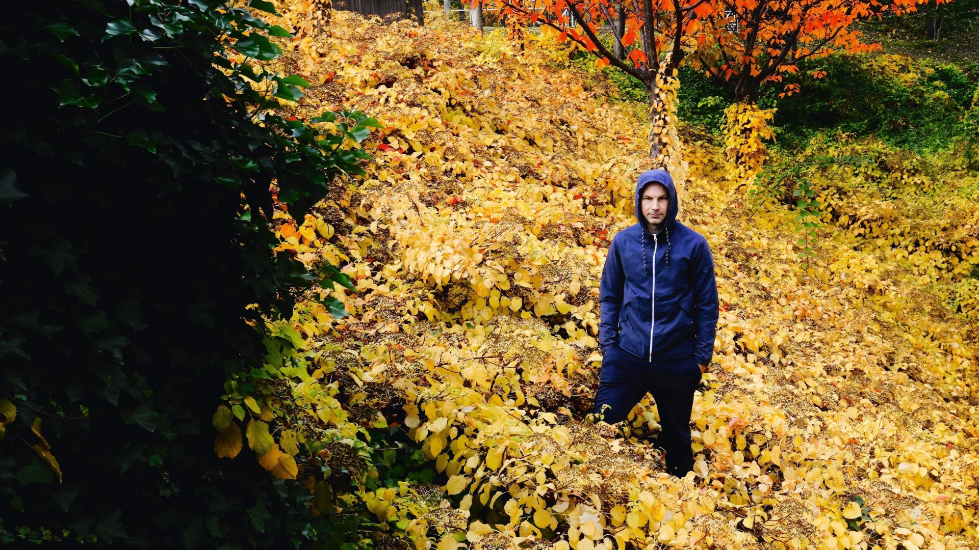 Mann som står midt i skogen i et hav av gule høstblader.