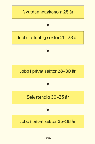 Figur som illustrerer mulig karriereløp for utdannede økonomer.